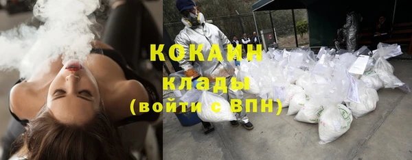 ПСИЛОЦИБИНОВЫЕ ГРИБЫ Гатчина
