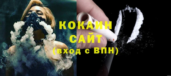прущая мука Ельня