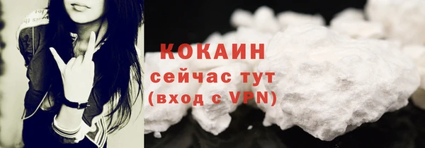 ПСИЛОЦИБИНОВЫЕ ГРИБЫ Гатчина