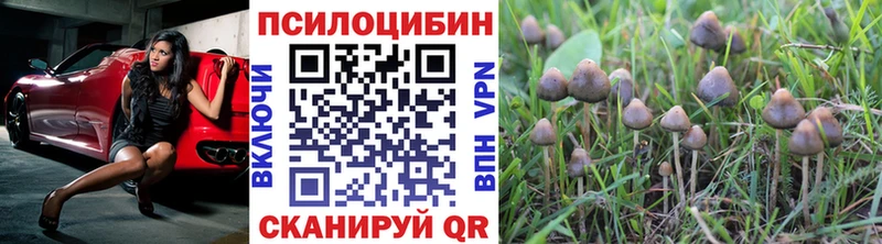 Галлюциногенные грибы Magic Shrooms  Ельня 